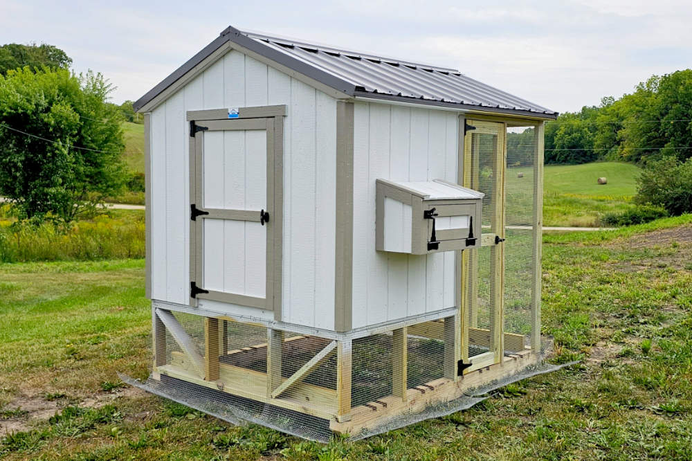 Basic Raised Coop