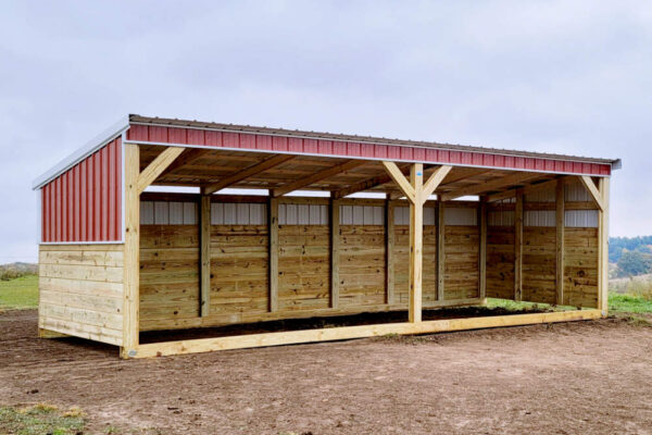 Basic Shelter - Image 4