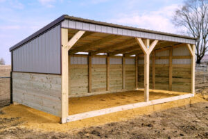 Basic Shelter