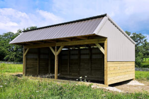 Deluxe Shelter