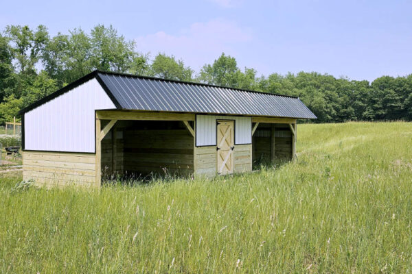 Deluxe Shelter - Image 2
