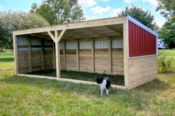 Basic Shelter - Image 3