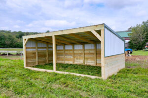 Basic Shelter
