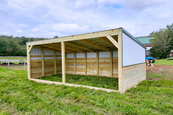 Basic Shelter