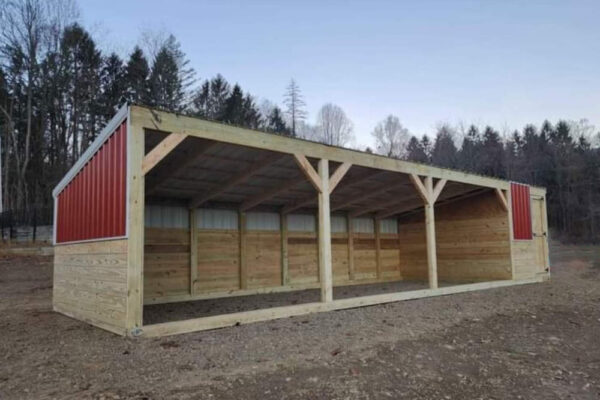 Basic Shelter - Image 2