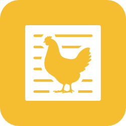 Attached Chicken Run